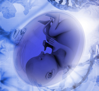 ivf-hospital